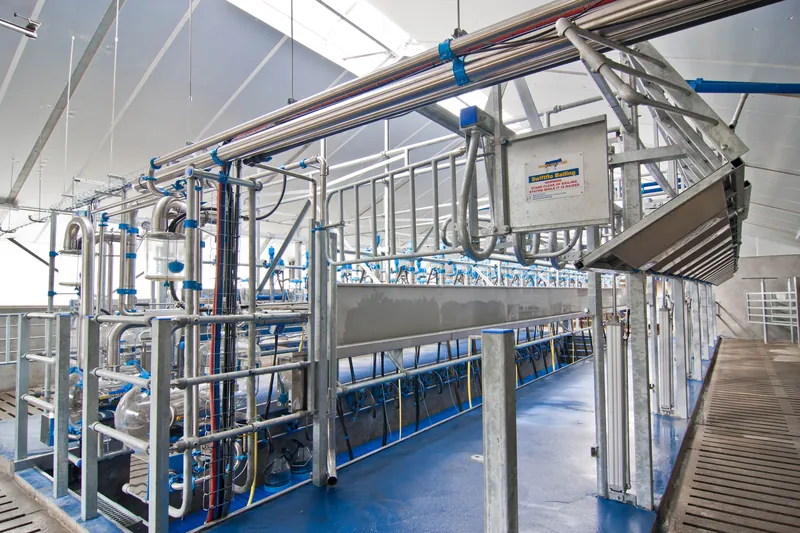 Доїльний зал Double-Up Dairymaster зі швидким виходом