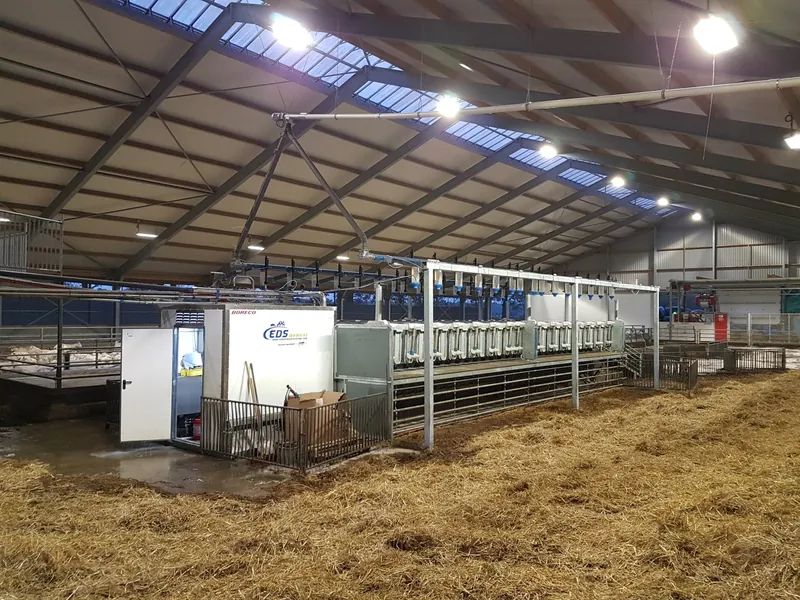 Мобільний доїльний зал для кіз Dairymaster у роботі