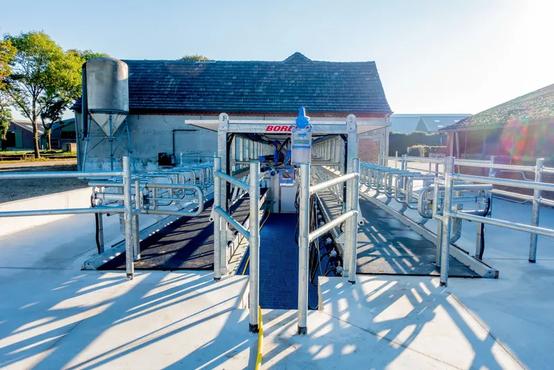 MobiStar Swing-Over — двосторонній мобільний доїльний зал Dairymaster